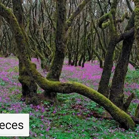 度假居 Casa Maria 阿古洛