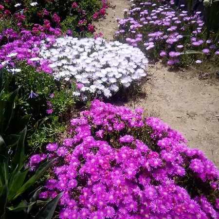 Casa Maria Prázdninový dům Agulo