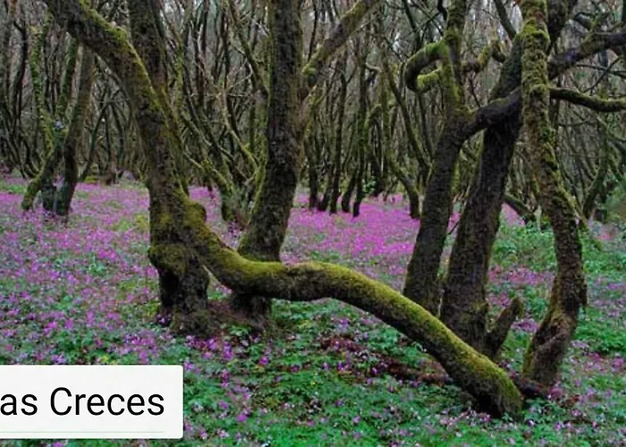 Dom wakacyjny Casa Maria Agulo