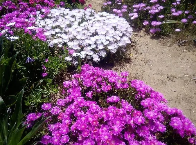 Casa Maria Dom wakacyjny Agulo